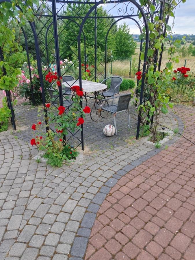 Apartamentypomorze Białogóra Esterno foto
